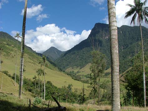  Voices From the Valley: A Colombian Mystery Woven Through Ancient Legends